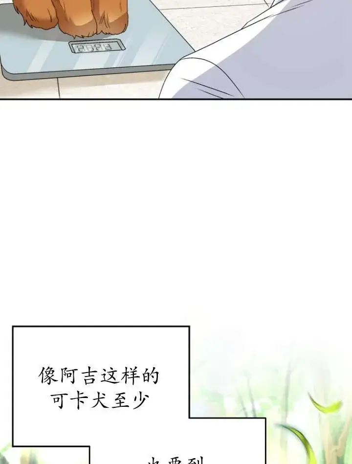 漫画《兽医先生！你好？》第42话第79张图