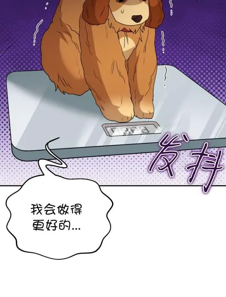 漫画《兽医先生！你好？》第42话第88张图