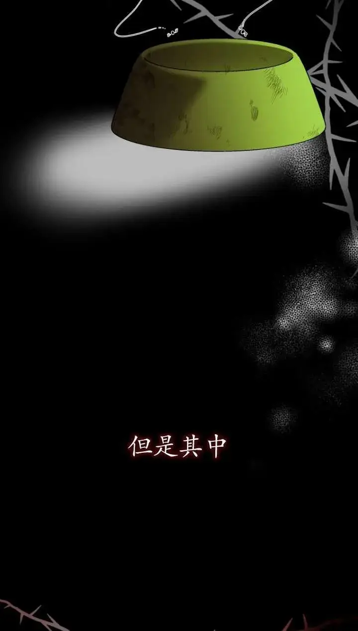 漫画《兽医先生！你好？》第43话第27张图