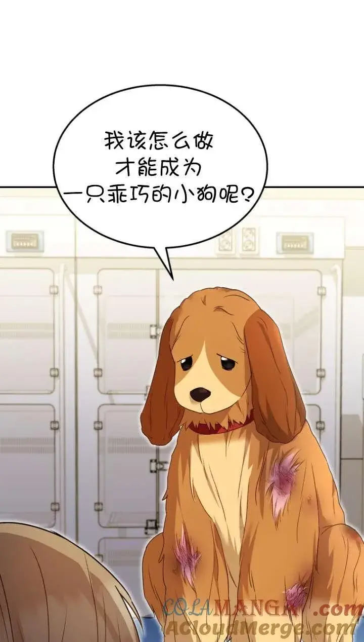 漫画《兽医先生！你好？》第43话第33张图