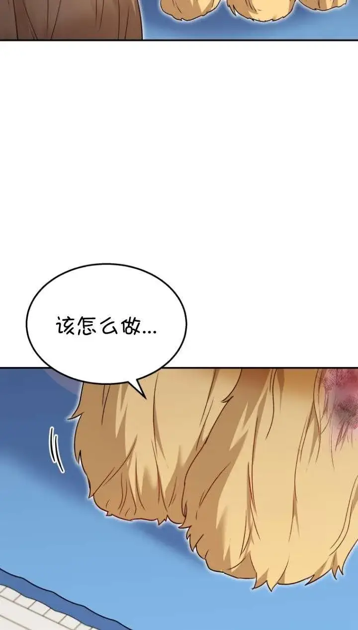 漫画《兽医先生！你好？》第43话第34张图