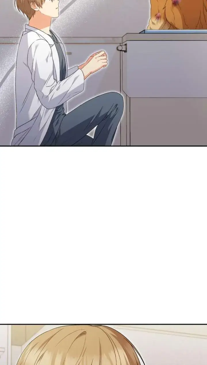 漫画《兽医先生！你好？》第43话第36张图
