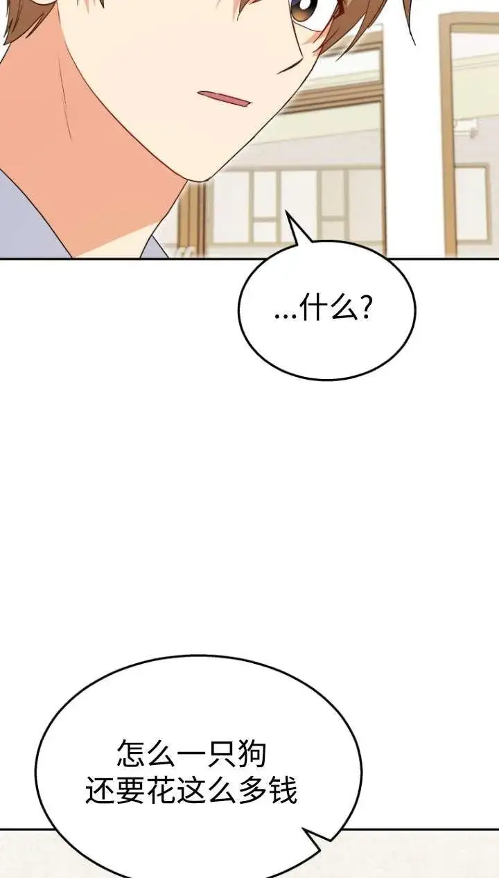 漫画《兽医先生！你好？》第43话第51张图