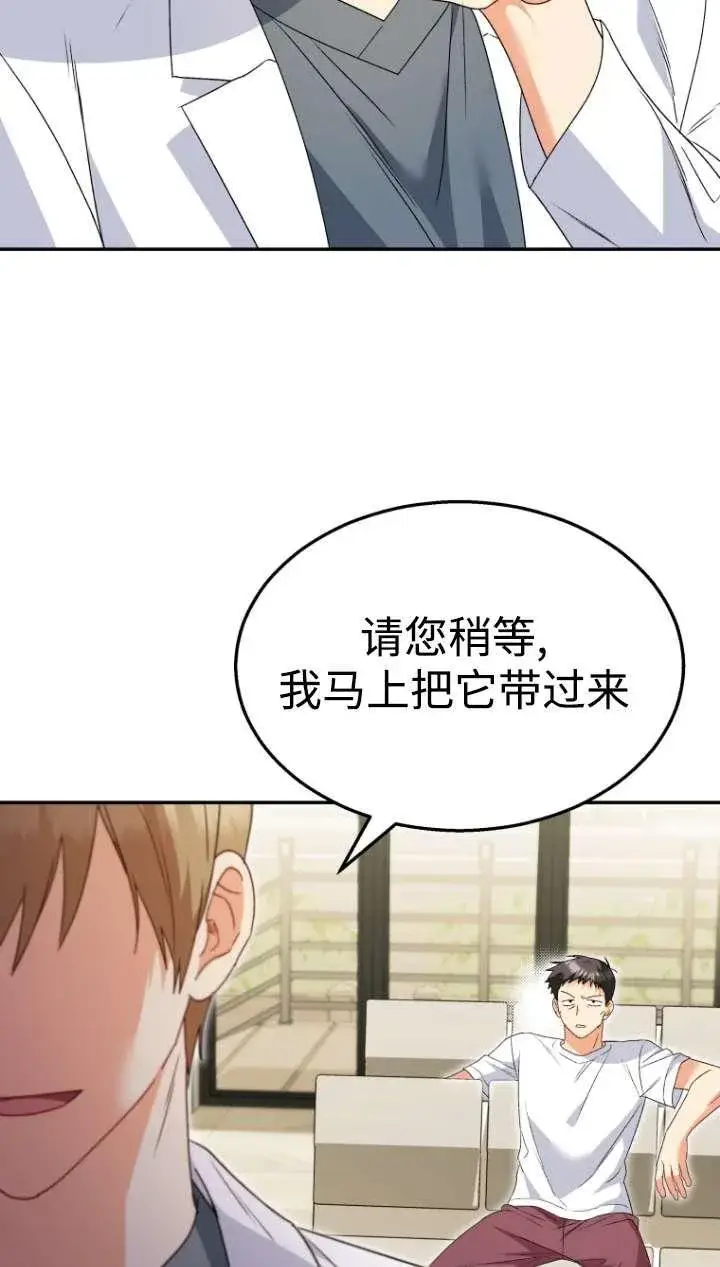 漫画《兽医先生！你好？》第43话第67张图