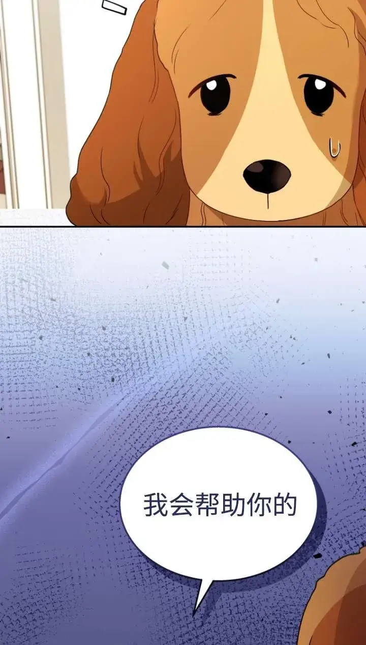 漫画《兽医先生！你好？》第43话第7张图