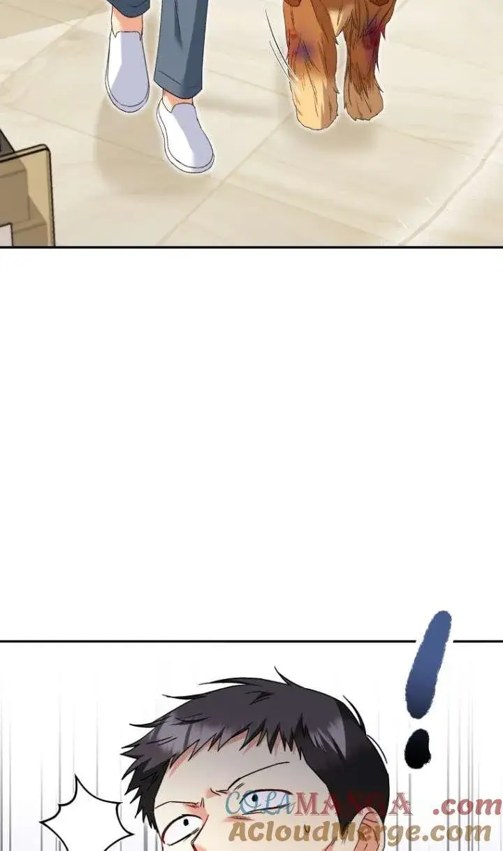 漫画《兽医先生！你好？》第44话第52张图