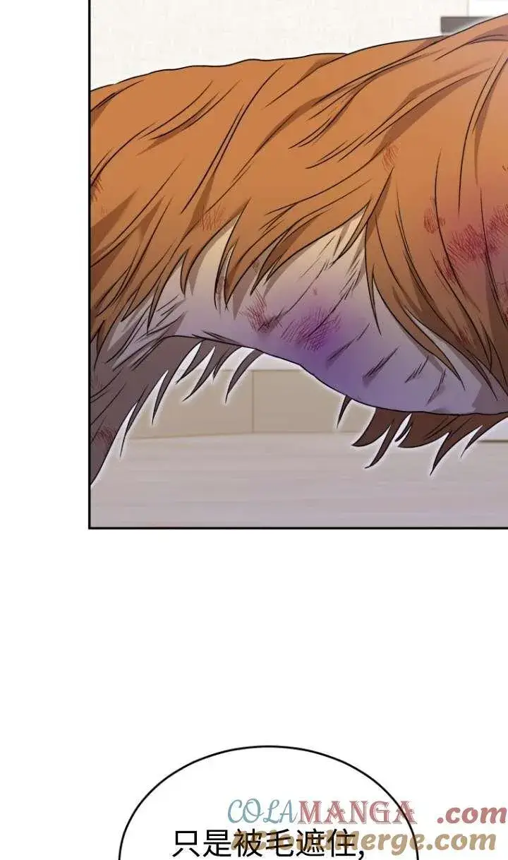 漫画《兽医先生！你好？》第44话第55张图
