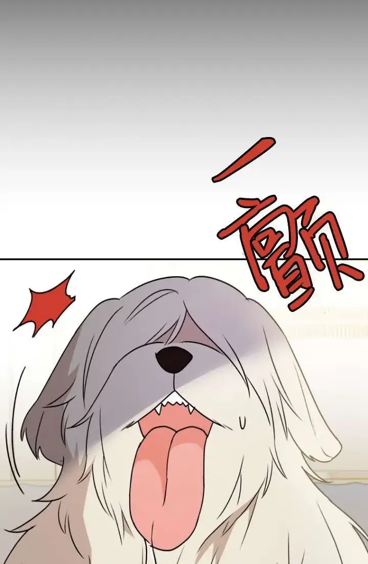 漫画《兽医先生！你好？》第49话第17张图