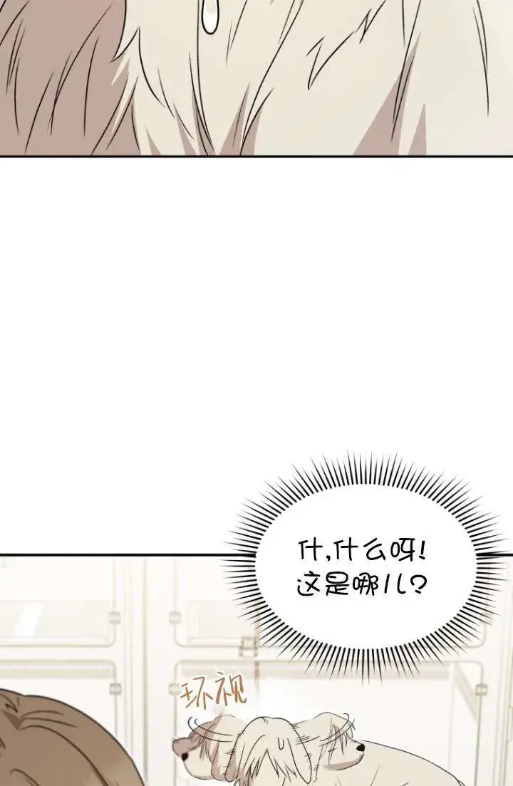 漫画《兽医先生！你好？》第49话第18张图