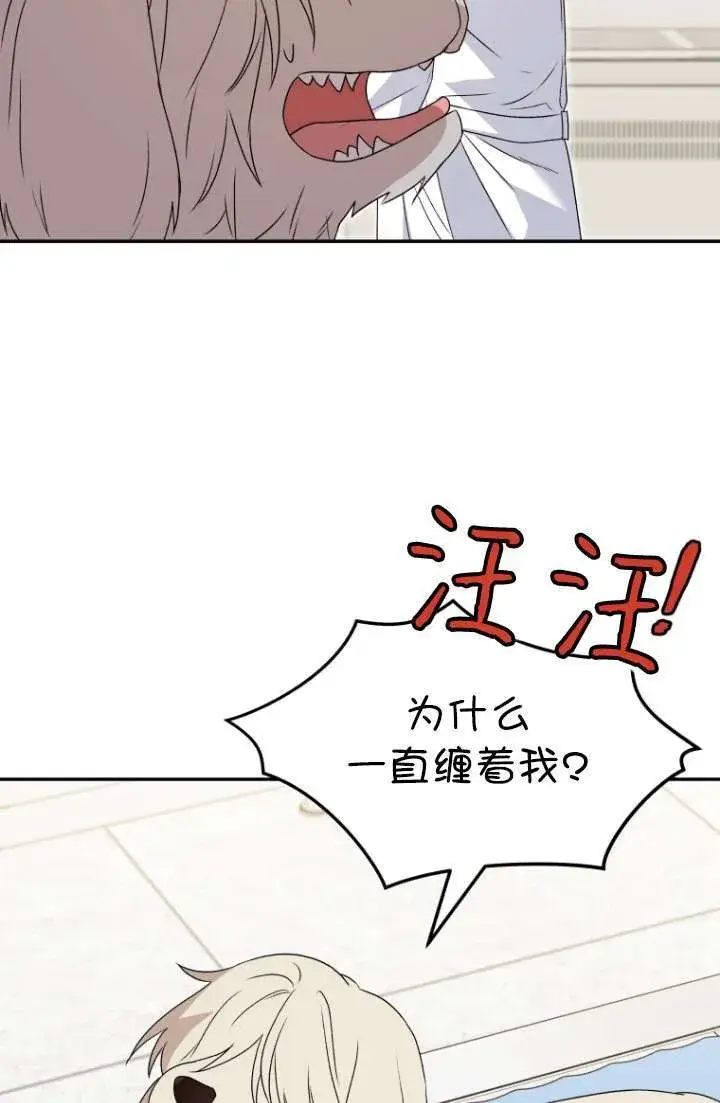 漫画《兽医先生！你好？》第49话第26张图