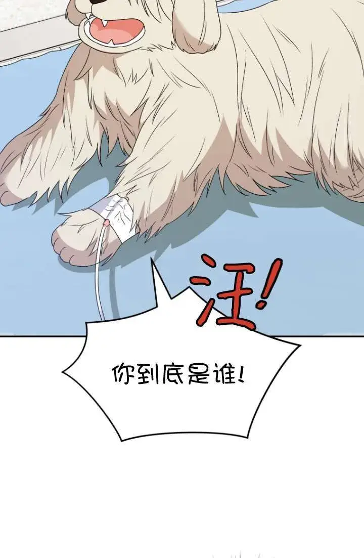 漫画《兽医先生！你好？》第49话第27张图