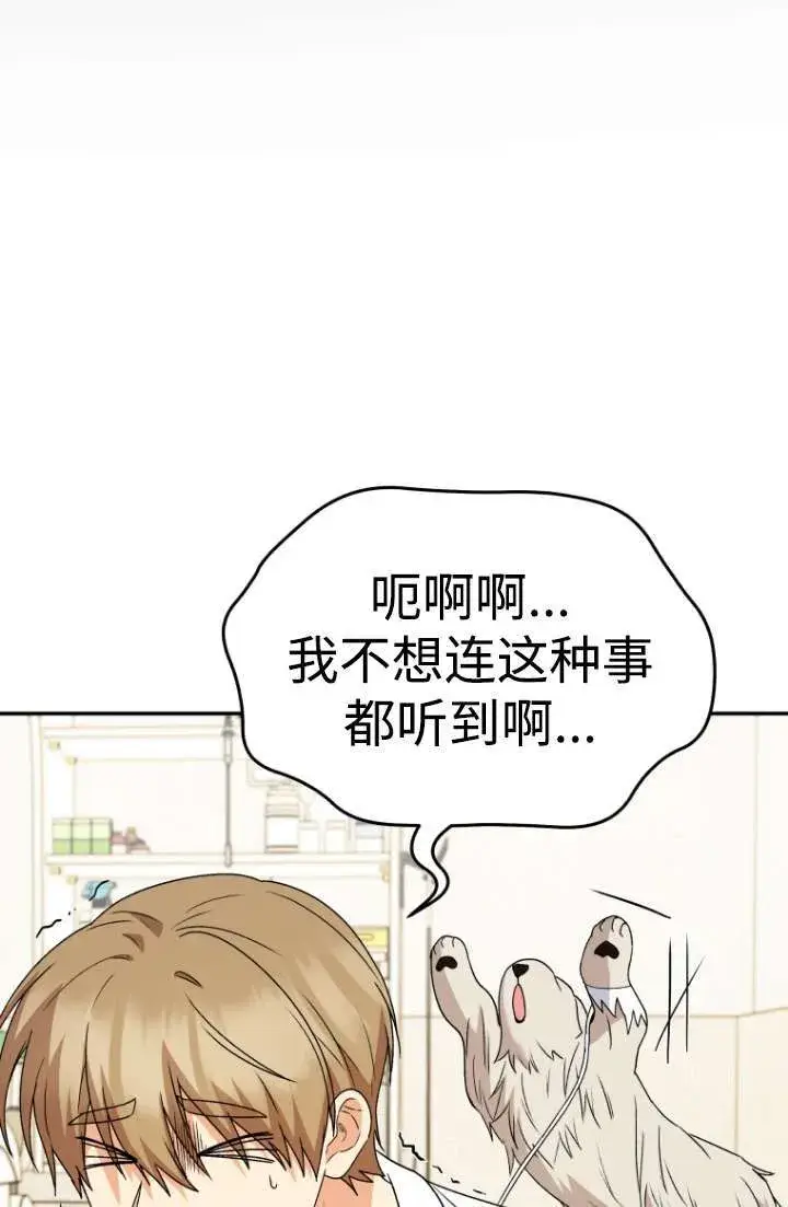 漫画《兽医先生！你好？》第49话第33张图