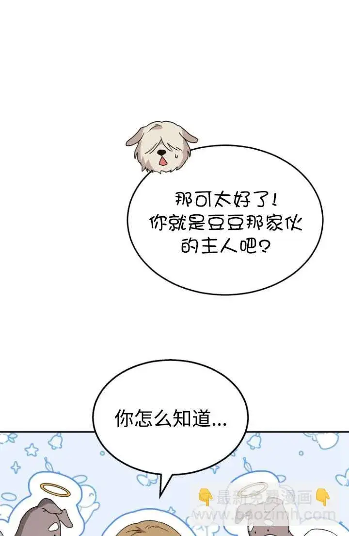 漫画《兽医先生！你好？》第49话第43张图