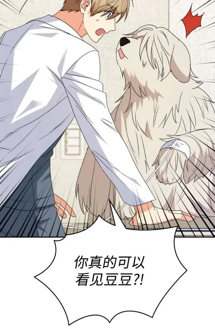 漫画《兽医先生！你好？》第49话第49张图