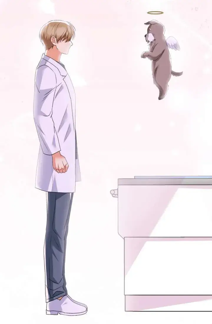 漫画《兽医先生！你好？》第49话第58张图