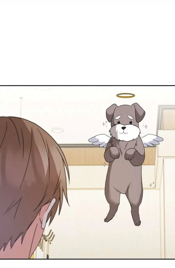 漫画《兽医先生！你好？》第49话第74张图