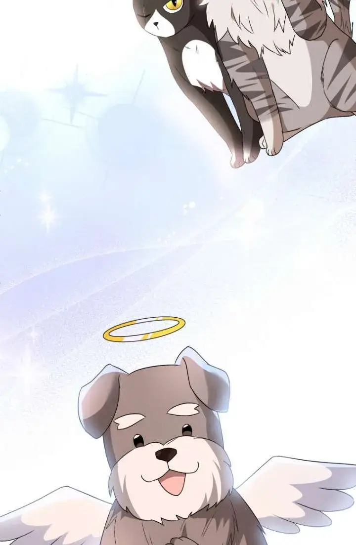 漫画《兽医先生！你好？》第49话第77张图