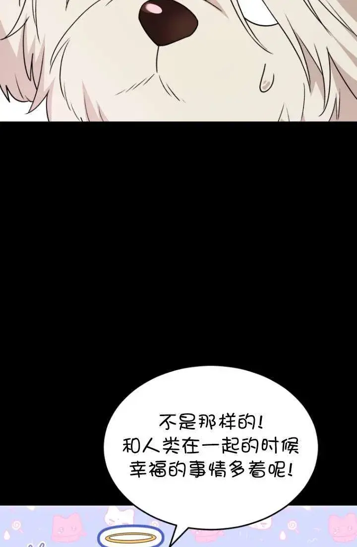 漫画《兽医先生！你好？》第49话第8张图