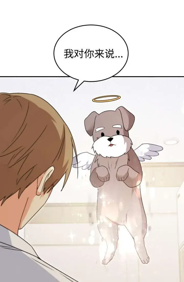 漫画《兽医先生！你好？》第49话第85张图