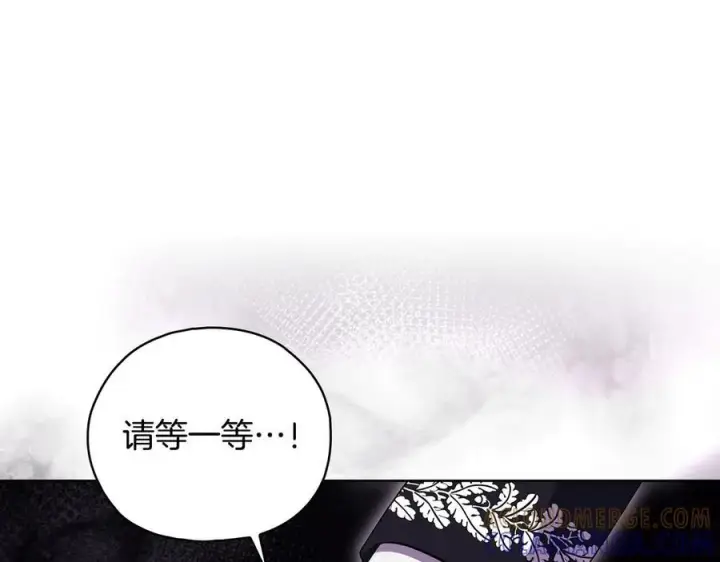 漫画《双胞胎姐姐不再相信他人》第100话 命运般的相遇第109张图