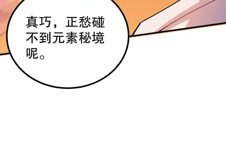 漫画《死灵法师！我即是天灾》051话 进入元素秘境第33张图