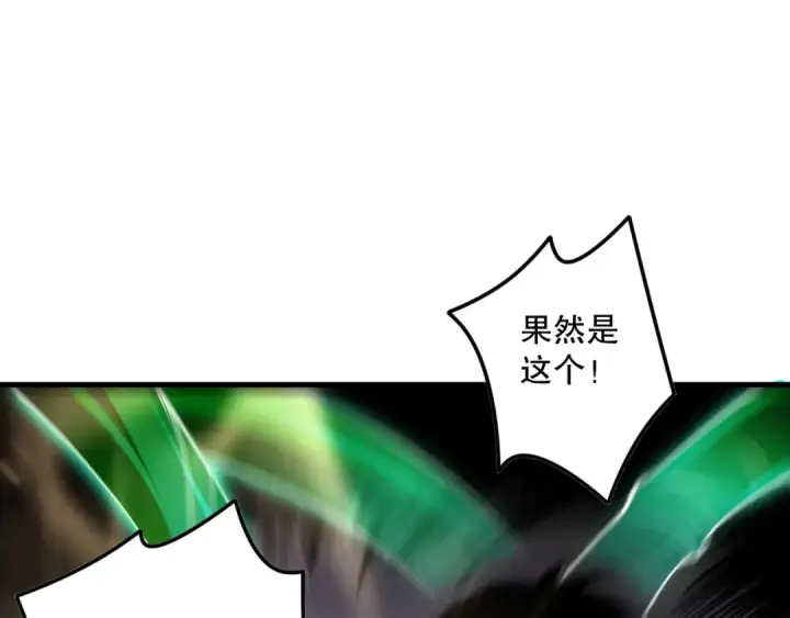 漫画《死灵法师！我即是天灾》第150话 光元素副本第115张图