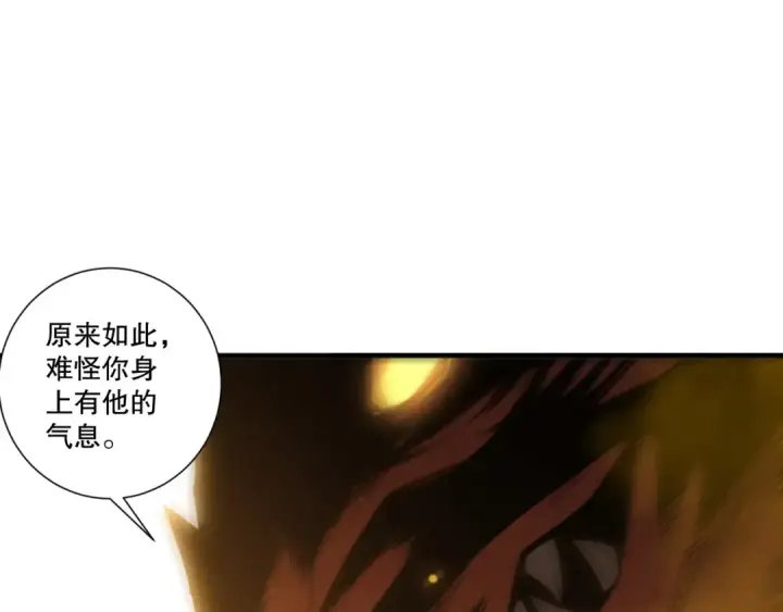 漫画《死灵法师！我即是天灾》第248话  覆盖整个帝国的大阵第12张图