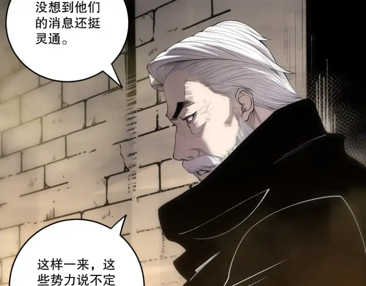漫画《死灵法师！我即是天灾》第248话  覆盖整个帝国的大阵第95张图