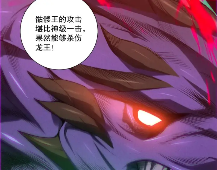 漫画《死灵法师！我即是天灾》第255话  神级龙王的袭击第14张图
