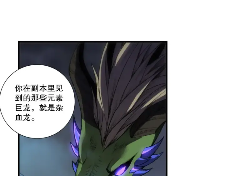 漫画《死灵法师！我即是天灾》第262话 真正的龙族秘辛第67张图