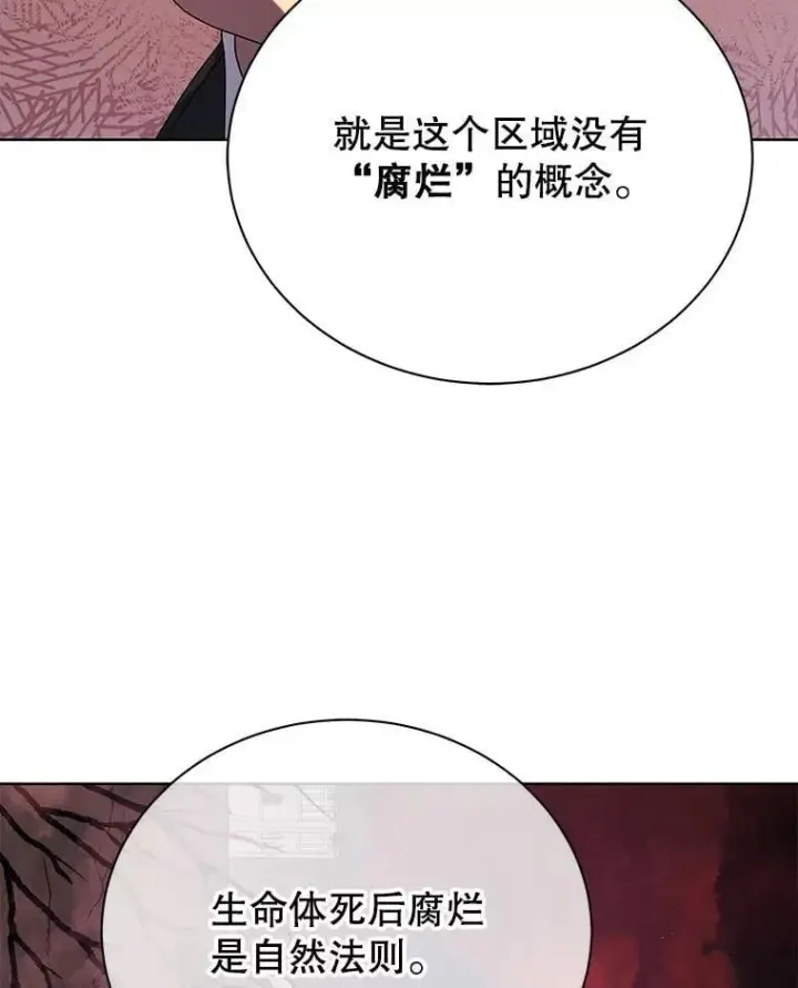 漫画《死灵术师学院的召唤天才》112.死亡岛第42张图