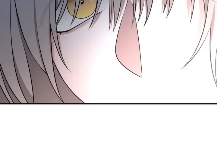 漫画《她们的幻影》9第69张图