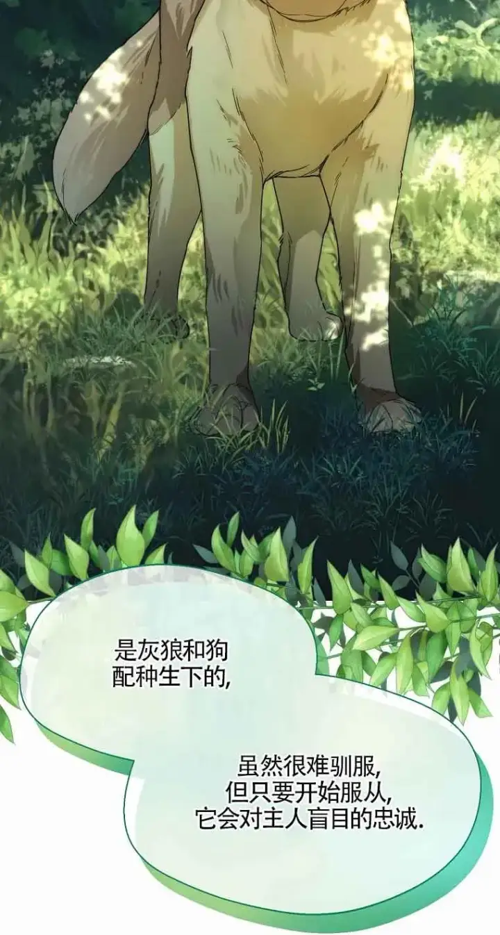 漫画《挑选丈夫时要慎重》第23话第63张图