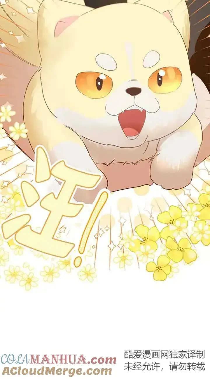 漫画《挑选丈夫时要慎重》第31话第13张图