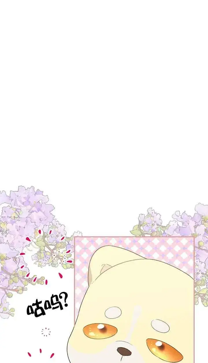 漫画《挑选丈夫时要慎重》第31话第63张图