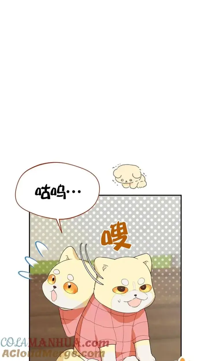 漫画《挑选丈夫时要慎重》第32话第34张图
