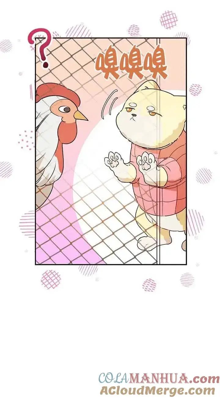 漫画《挑选丈夫时要慎重》第33话第40张图