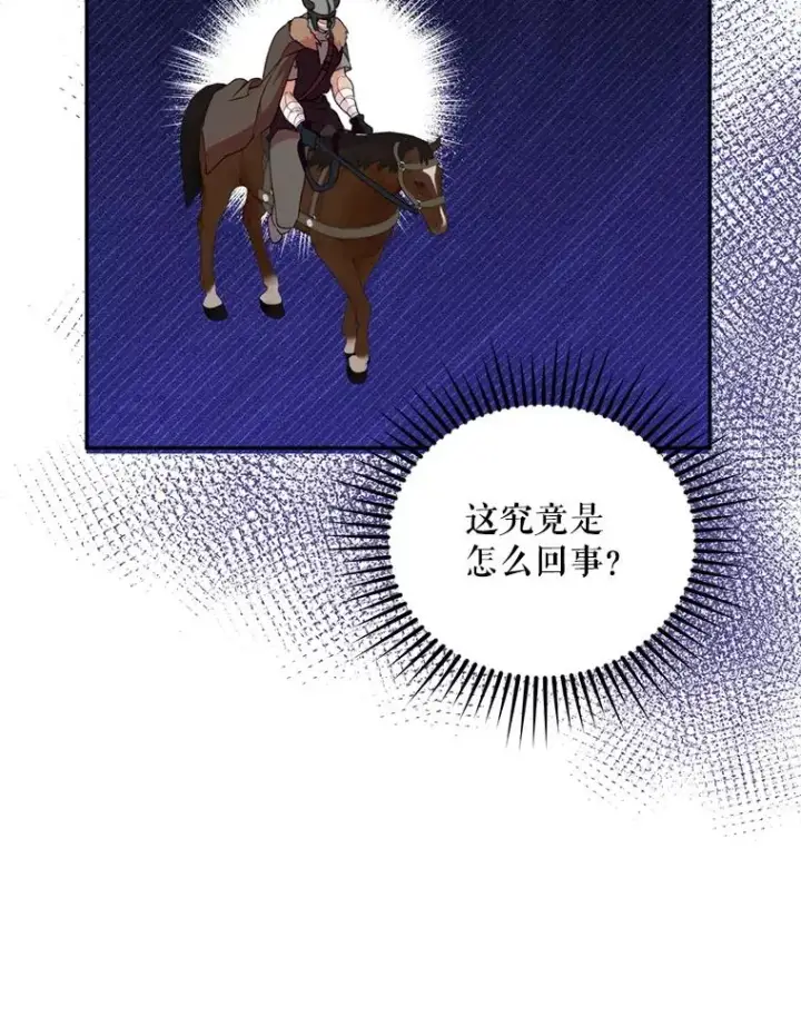 漫画《挑选丈夫时要慎重》48.假哈尔汗出现第84张图