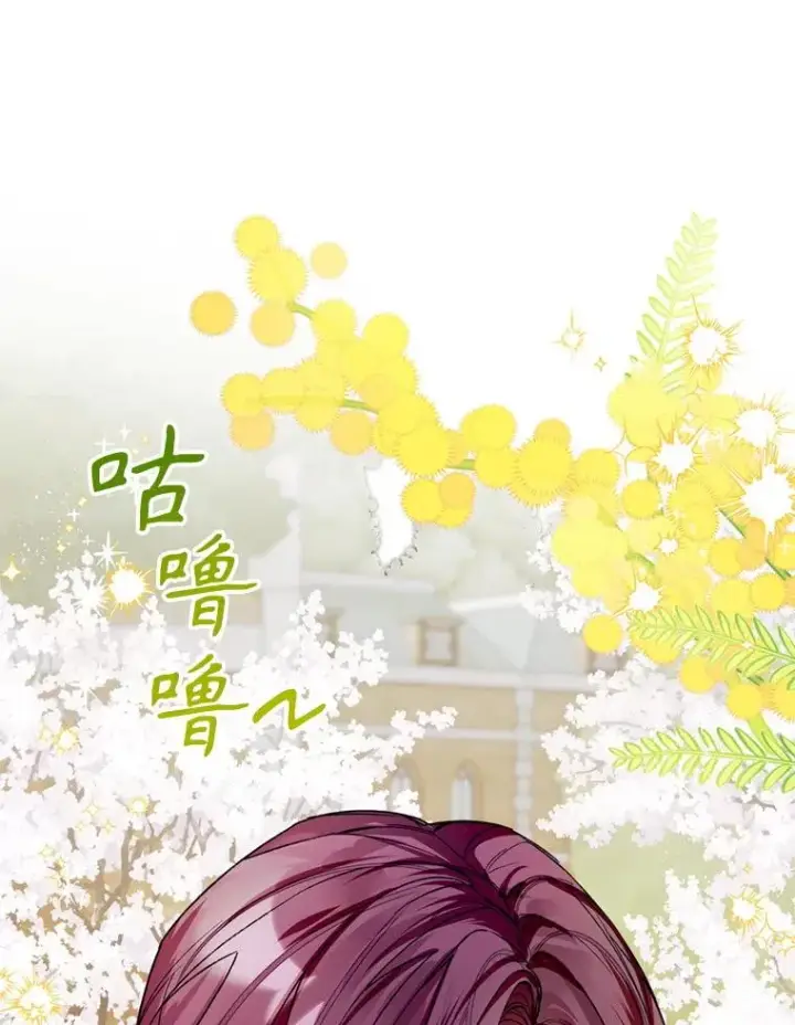 漫画《挑选丈夫时要慎重》52.偶遇魔法师第79张图