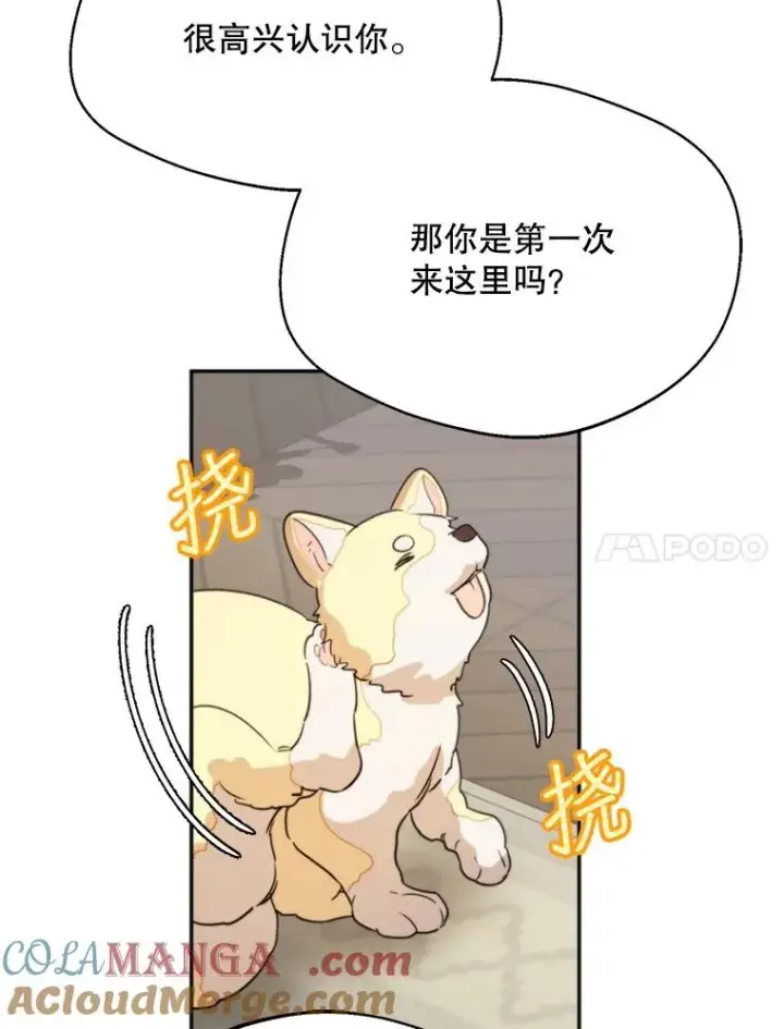漫画《挑选丈夫时要慎重》58.夏日庆典第105张图