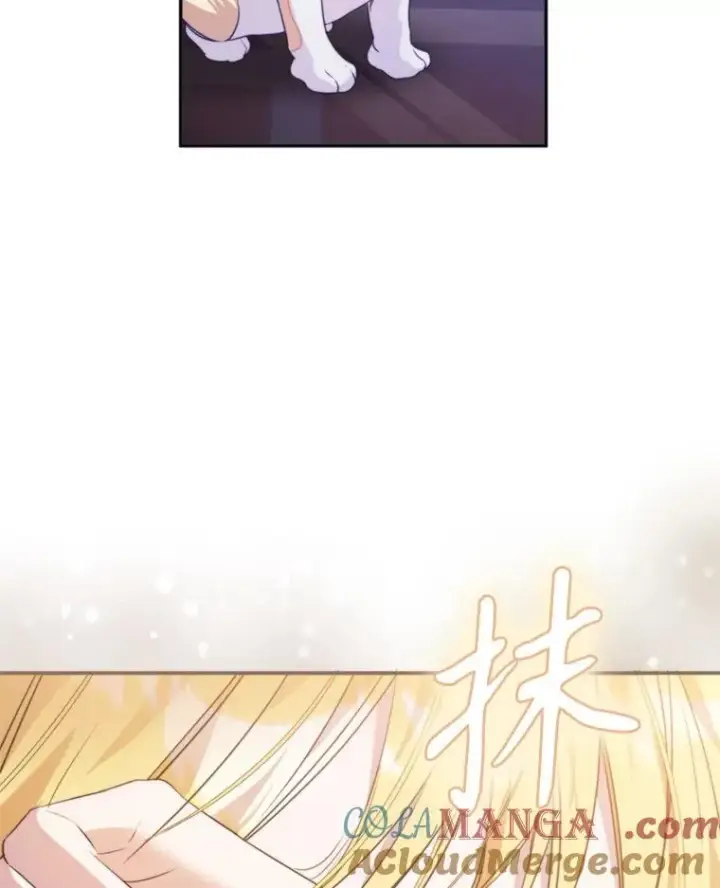 漫画《挑选丈夫时要慎重》62.苹果酒的传说第109张图