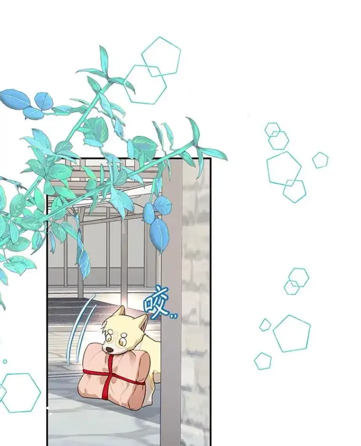 漫画《挑选丈夫时要慎重》66.艾罗兹喝醉第20张图