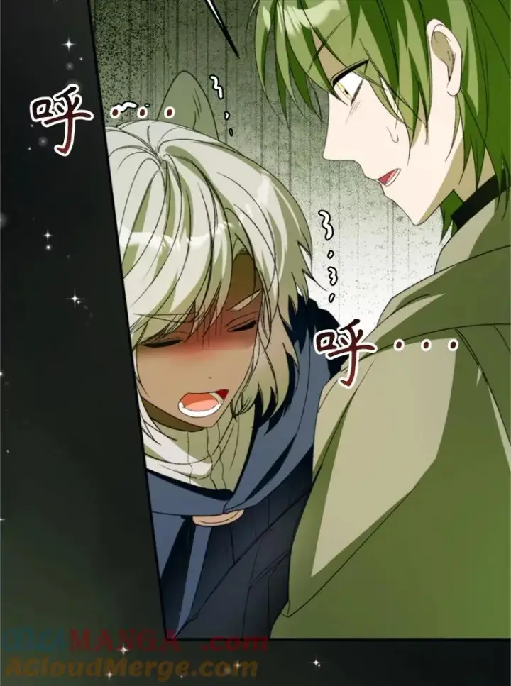 漫画《挑选丈夫时要慎重》71.尼亚哈尔蒂第101张图
