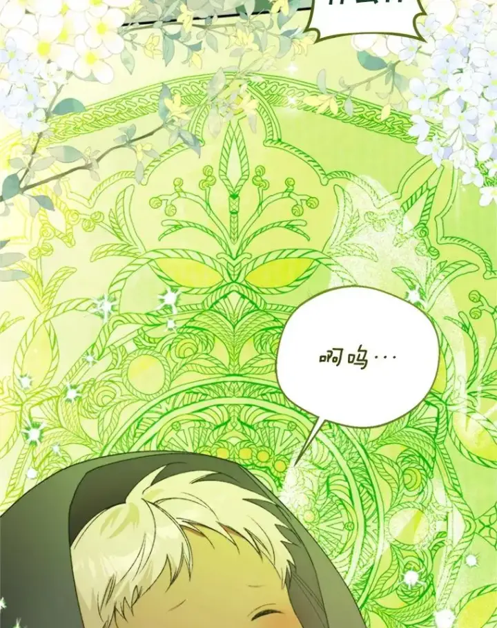 漫画《挑选丈夫时要慎重》71.尼亚哈尔蒂第108张图