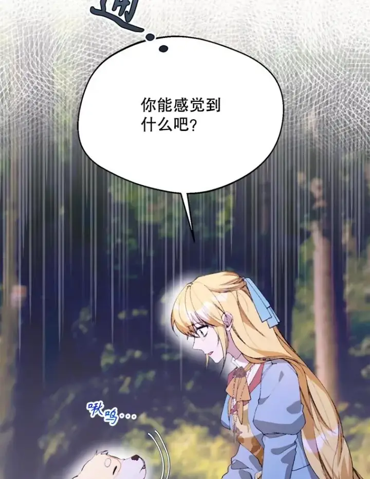 漫画《挑选丈夫时要慎重》71.尼亚哈尔蒂第16张图