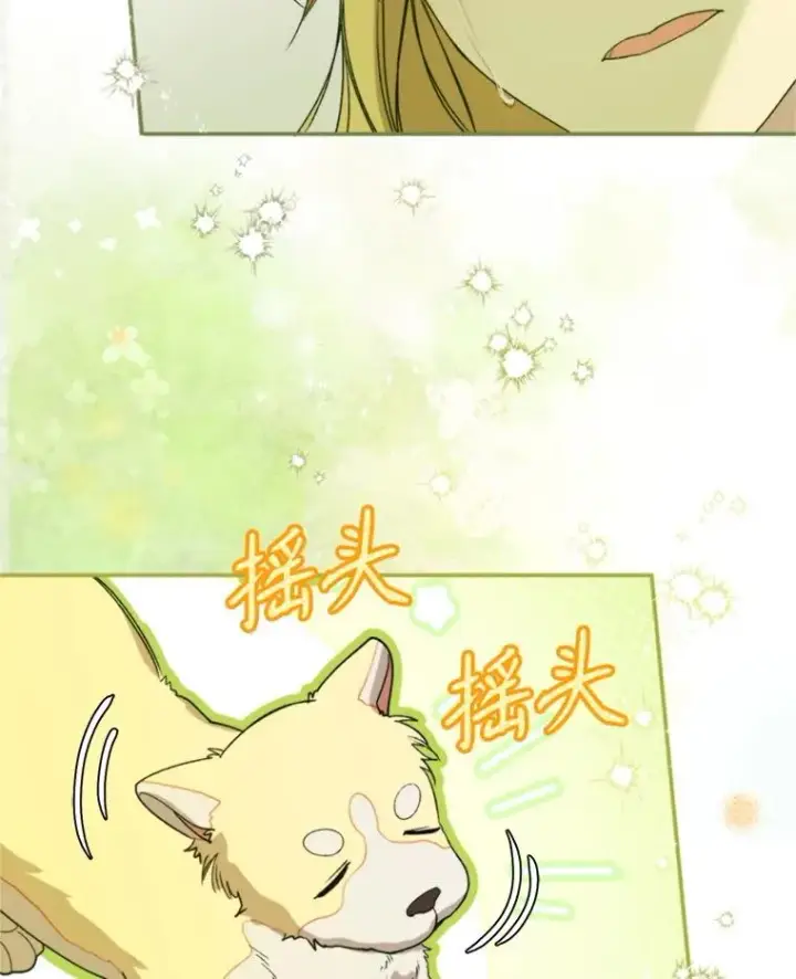 漫画《挑选丈夫时要慎重》71.尼亚哈尔蒂第19张图