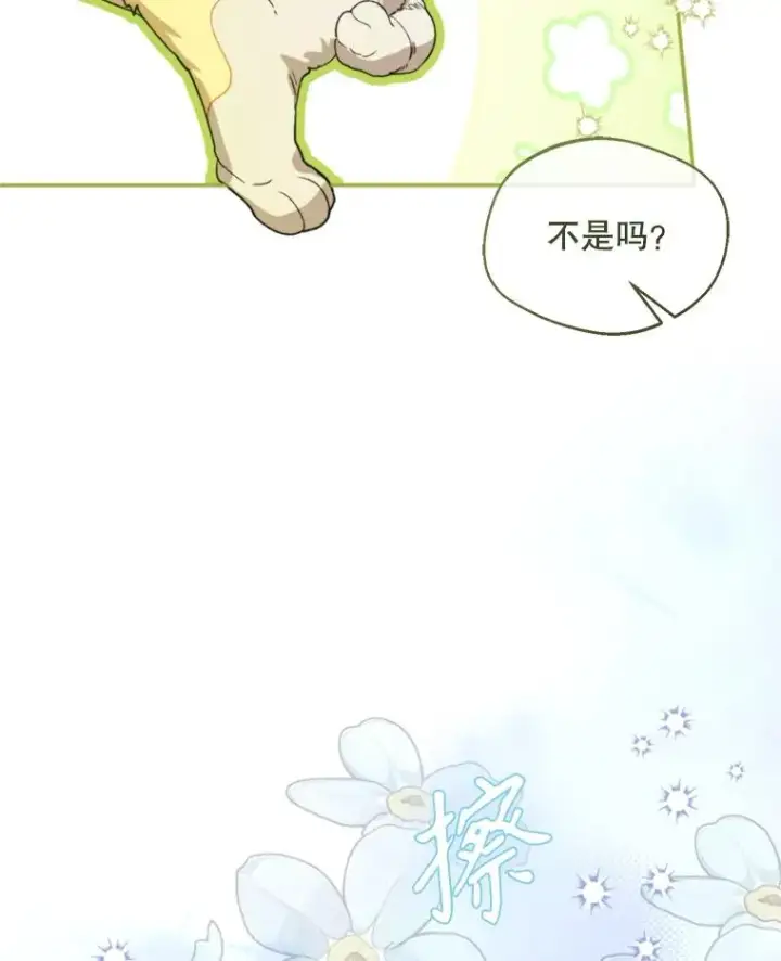 漫画《挑选丈夫时要慎重》71.尼亚哈尔蒂第20张图