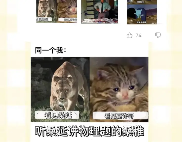 漫画《偷偷藏不住》第20期［搞点事］7月整活总结（日更中第15张图
