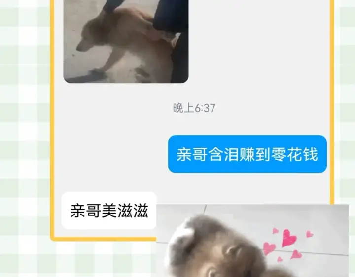 漫画《偷偷藏不住》第23期【特别企划】暗恋茶话会第22张图
