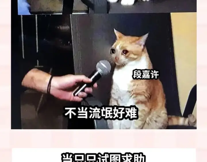 漫画《偷偷藏不住》第37期 梗图第二期来噜第10张图